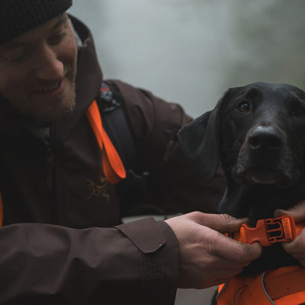 A man runs with his dog who's wearing a Ruffwear collar
