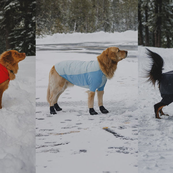 Powder Hound™ Collection