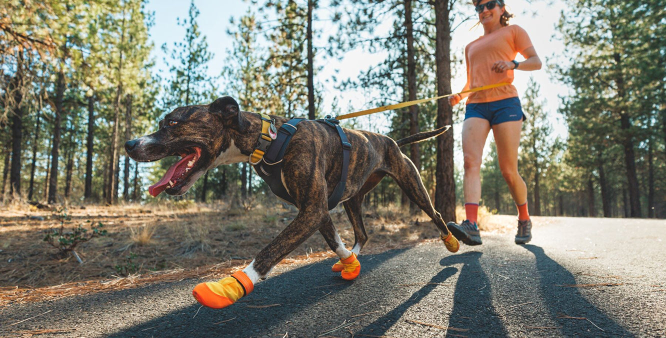 Dog Shoes Boots For Paw Protection Ruffwear