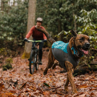 A woman walks with her big dog wearing a pack