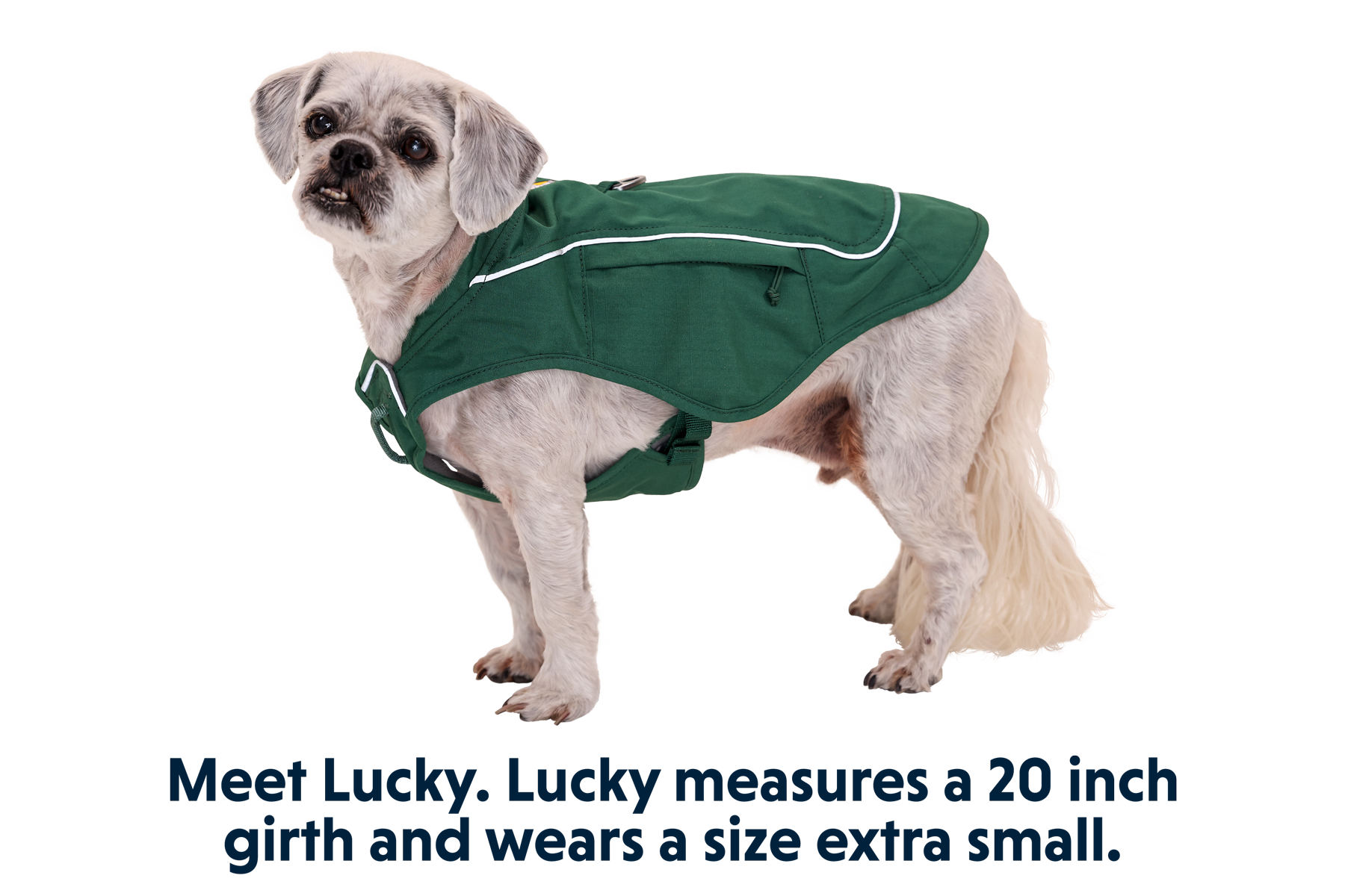 Overcoat Fuse Dog Jacket Ruffwear