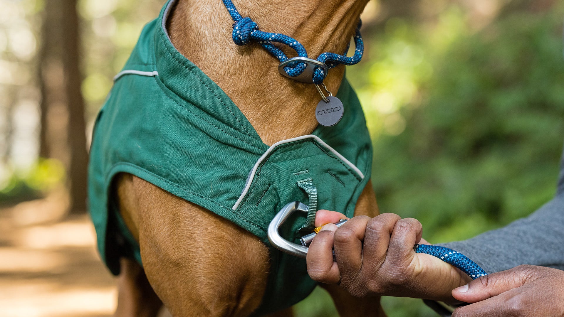 Dog coat with leash hook sale