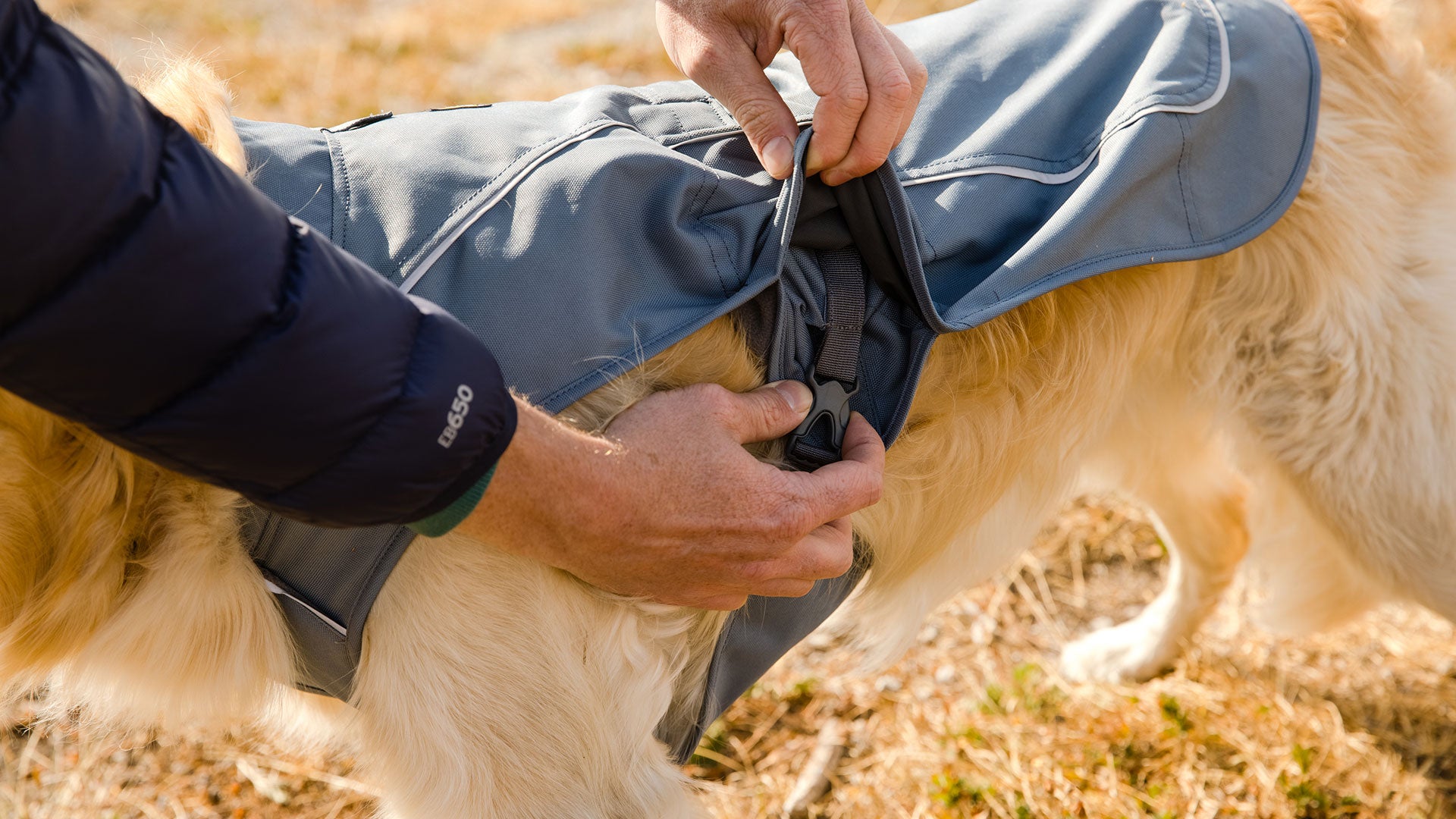 Overcoat Dog Jacket Ruffwear