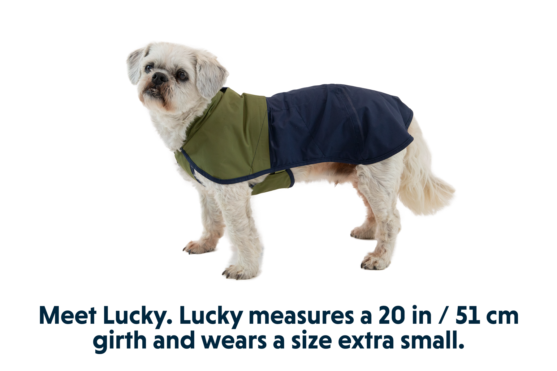 Sun Shower Dog Raincoat Waterproof Jacket for Dogs Ruffwear