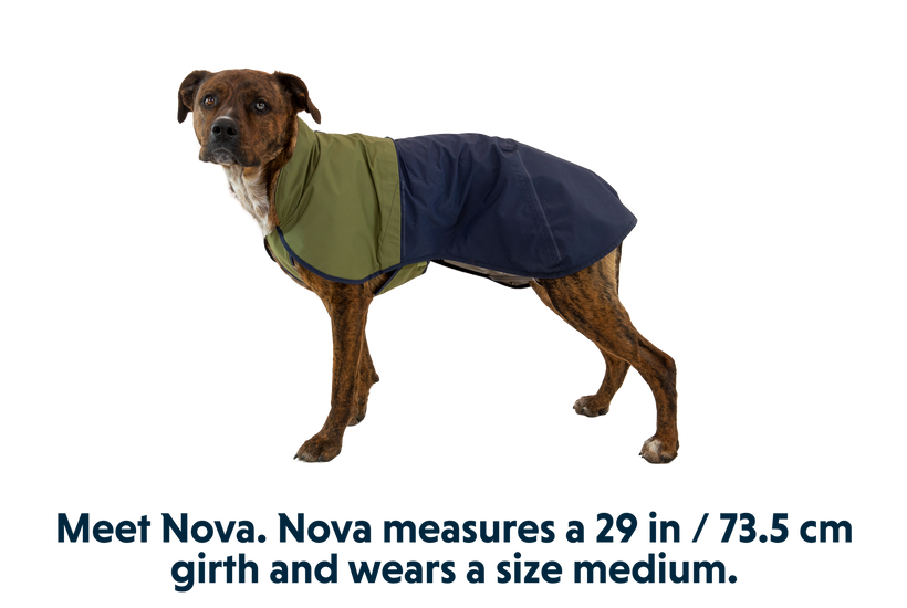 Free country dog raincoat deals