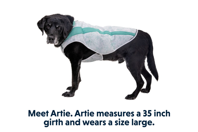 Swamp Cooler Cooling Dog Vest Ruffwear
