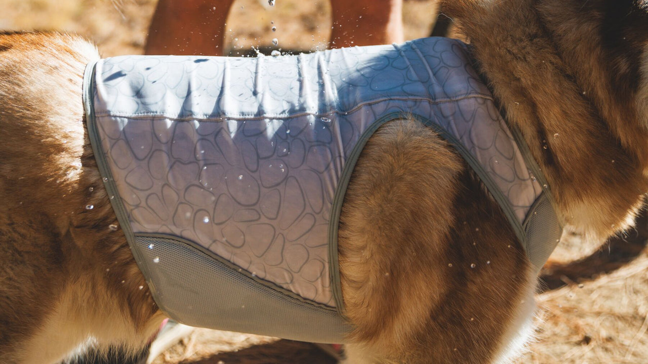 THREE LAYER CONSTRUCTION