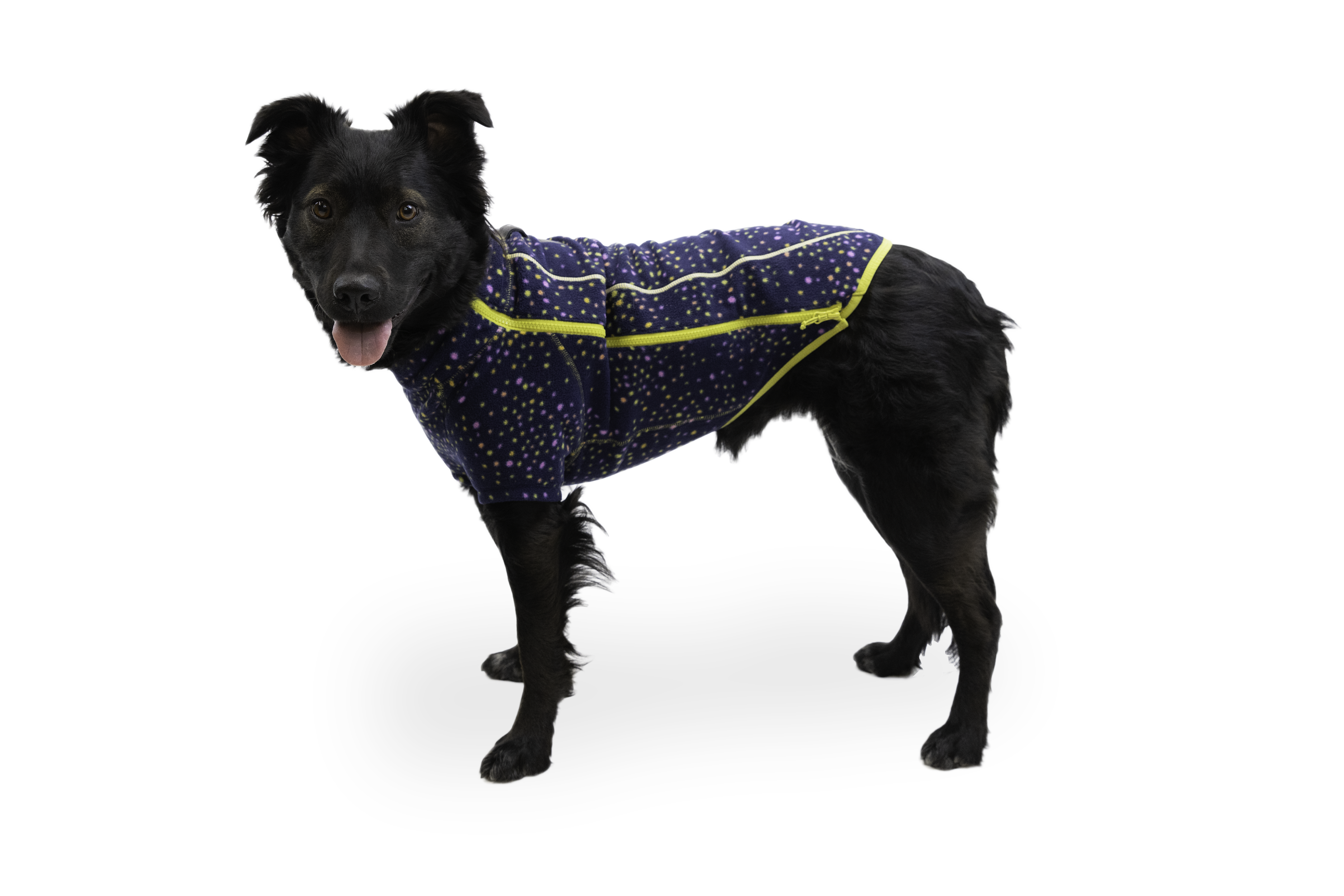 Climate Changer Dog Fleece Sweater Ruffwear