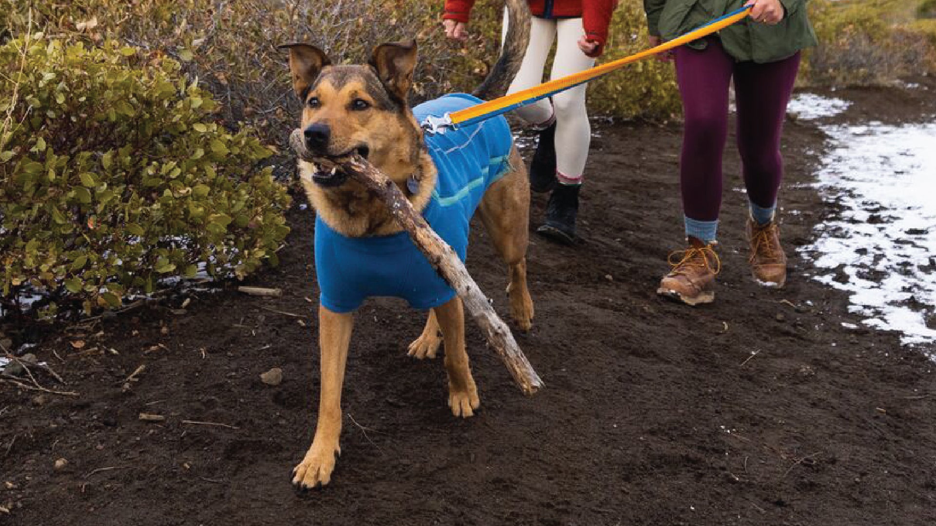 Dog drying outlet fleece