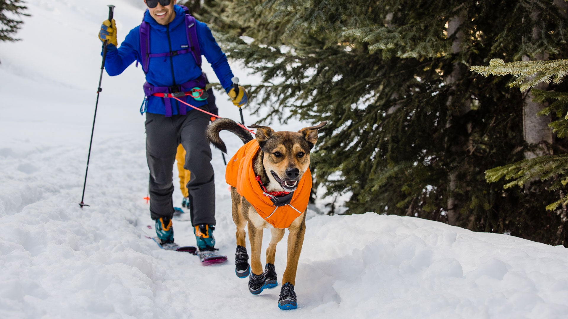 Quinzee Dog Puffy Vest Packable Warmth Ruffwear