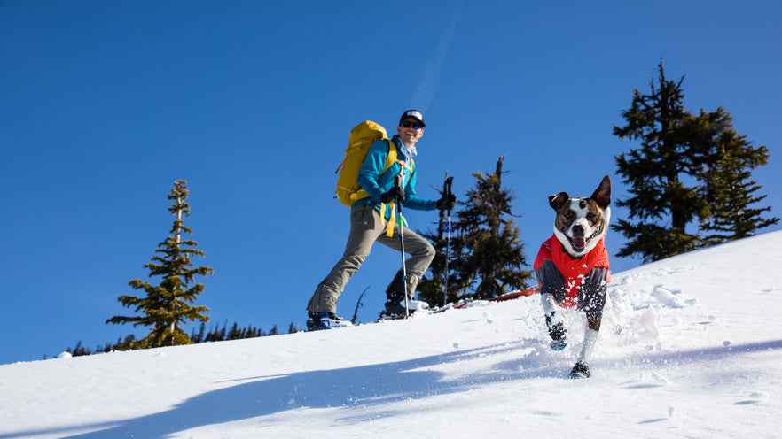 Dog winter hiking gear best sale