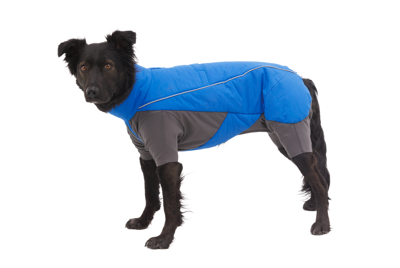 Vert Coverall Dog Snow Suit Ruffwear
