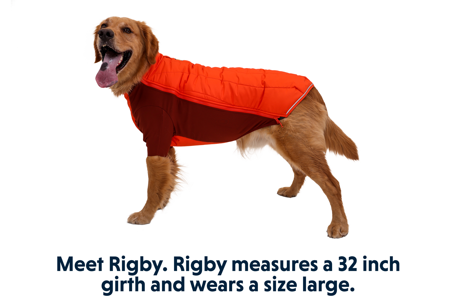 Powder Hound Winter Dog Jacket Hybrid Insulated Winter Ruffwear