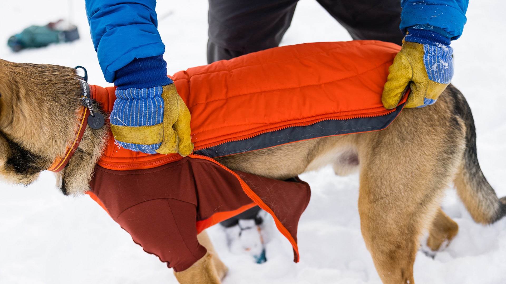 Powder Hound Winter Dog Jacket Hybrid Insulated Winter Ruffwear