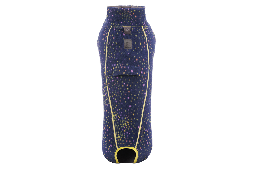 Galaxy