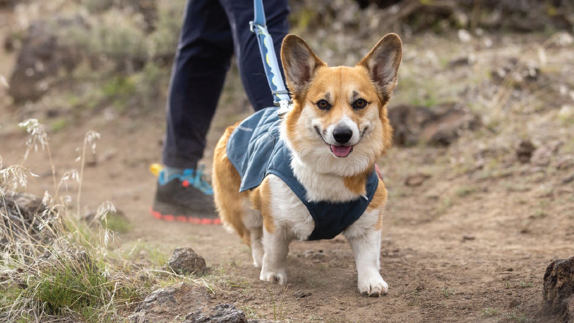 Stumptown Quilted Dog Coat Ruffwear