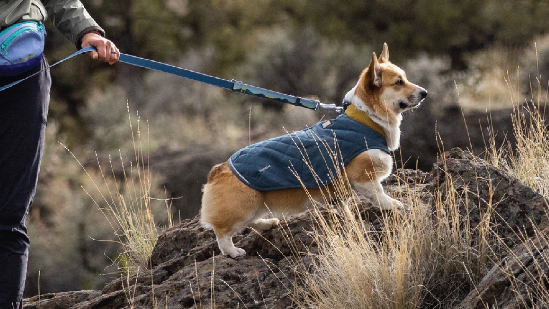 Stumptown Quilted Dog Coat Ruffwear