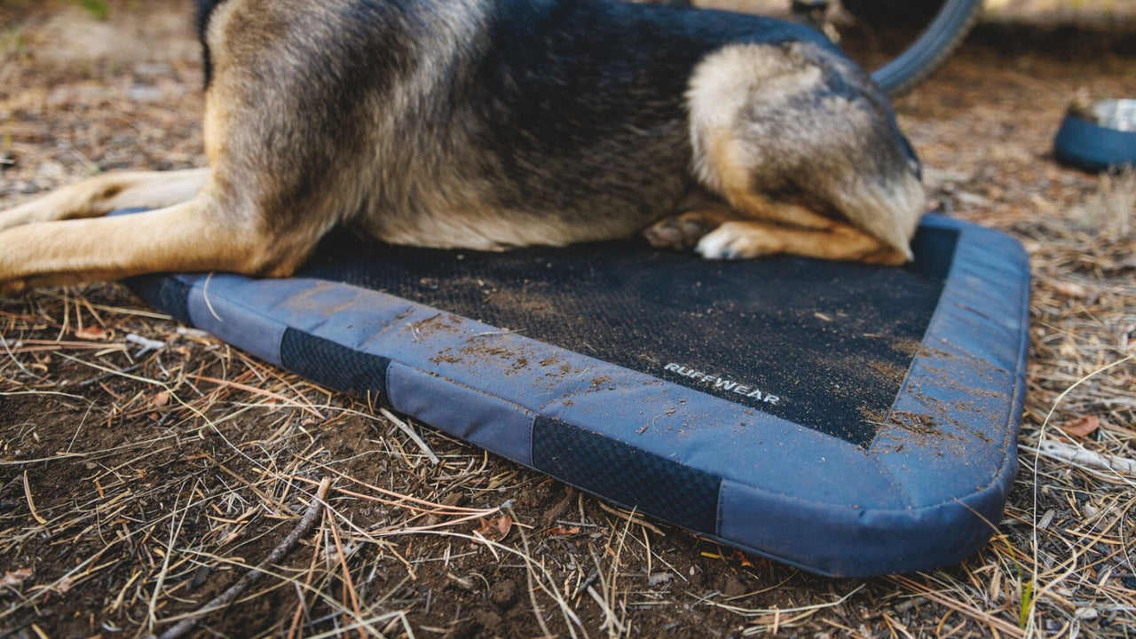 Ruffwear Pet Product