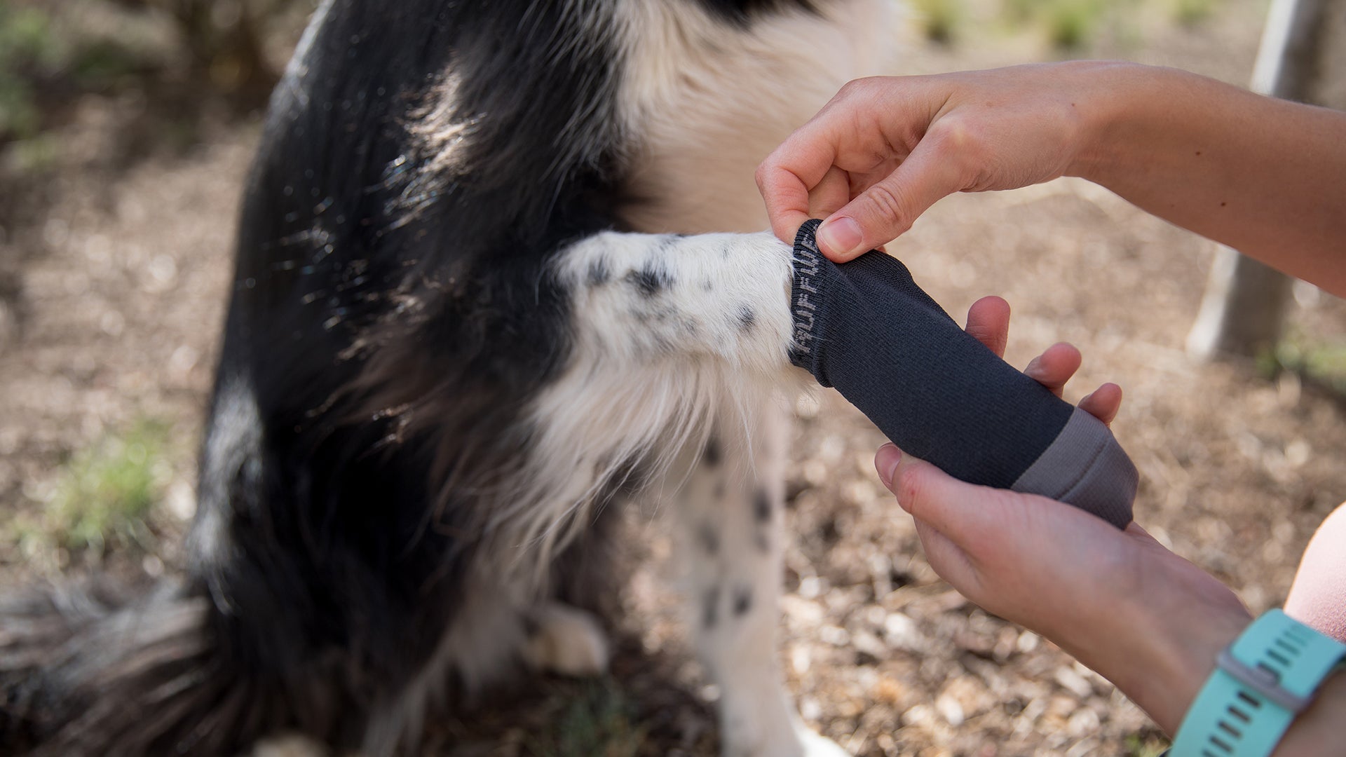 Dog boot outlet mat