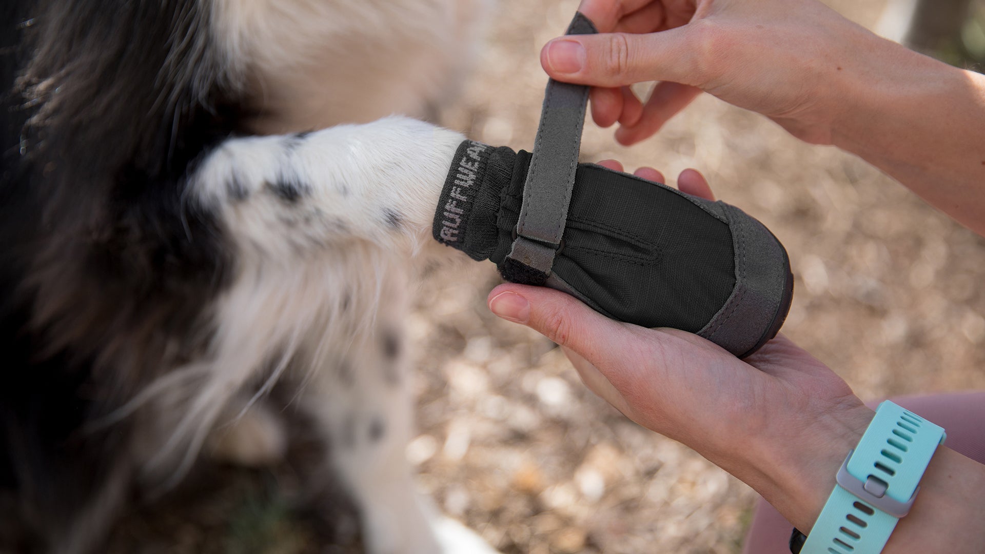 Dog boot outlet mat