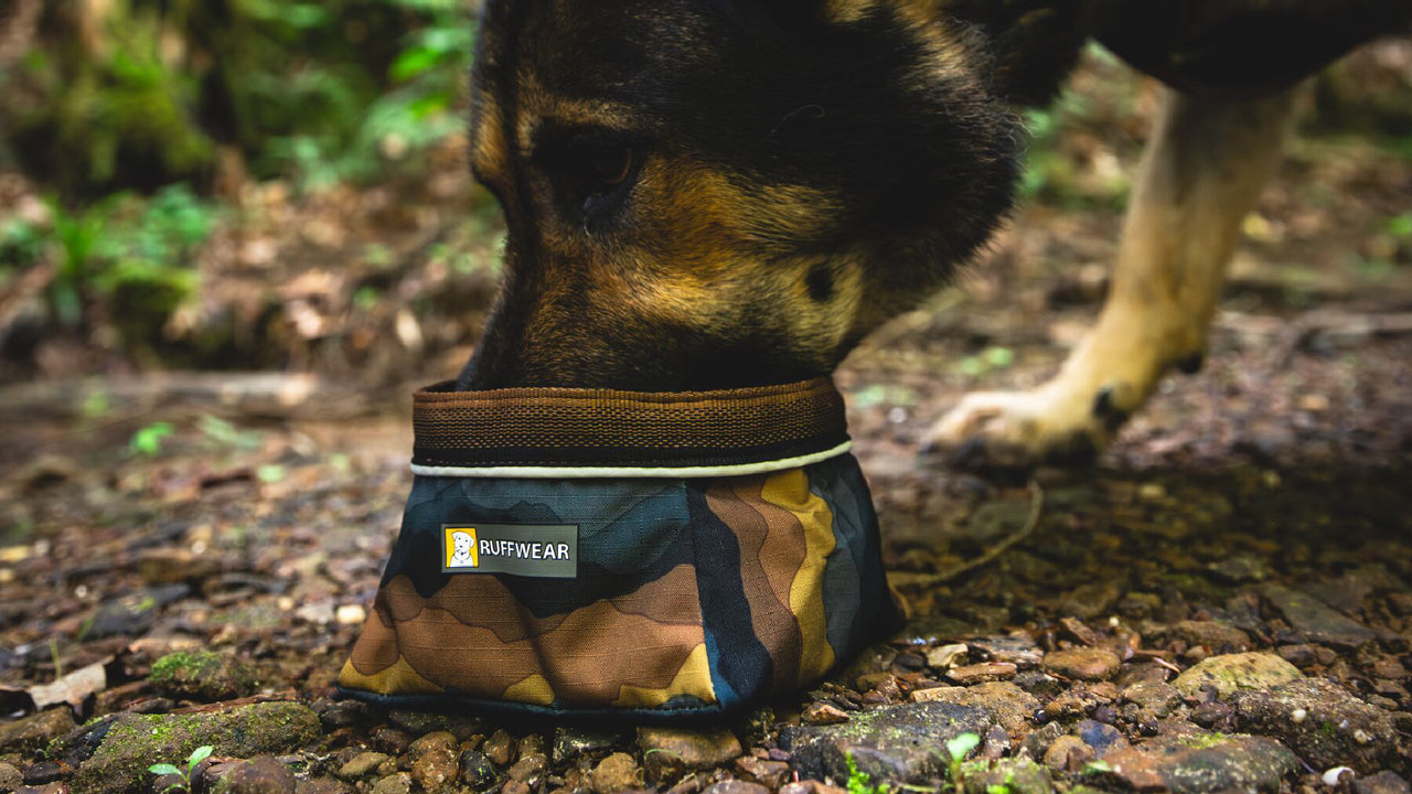 Dog Quick Shell Quencher™ Packable Dog Bowl | Ruffwear