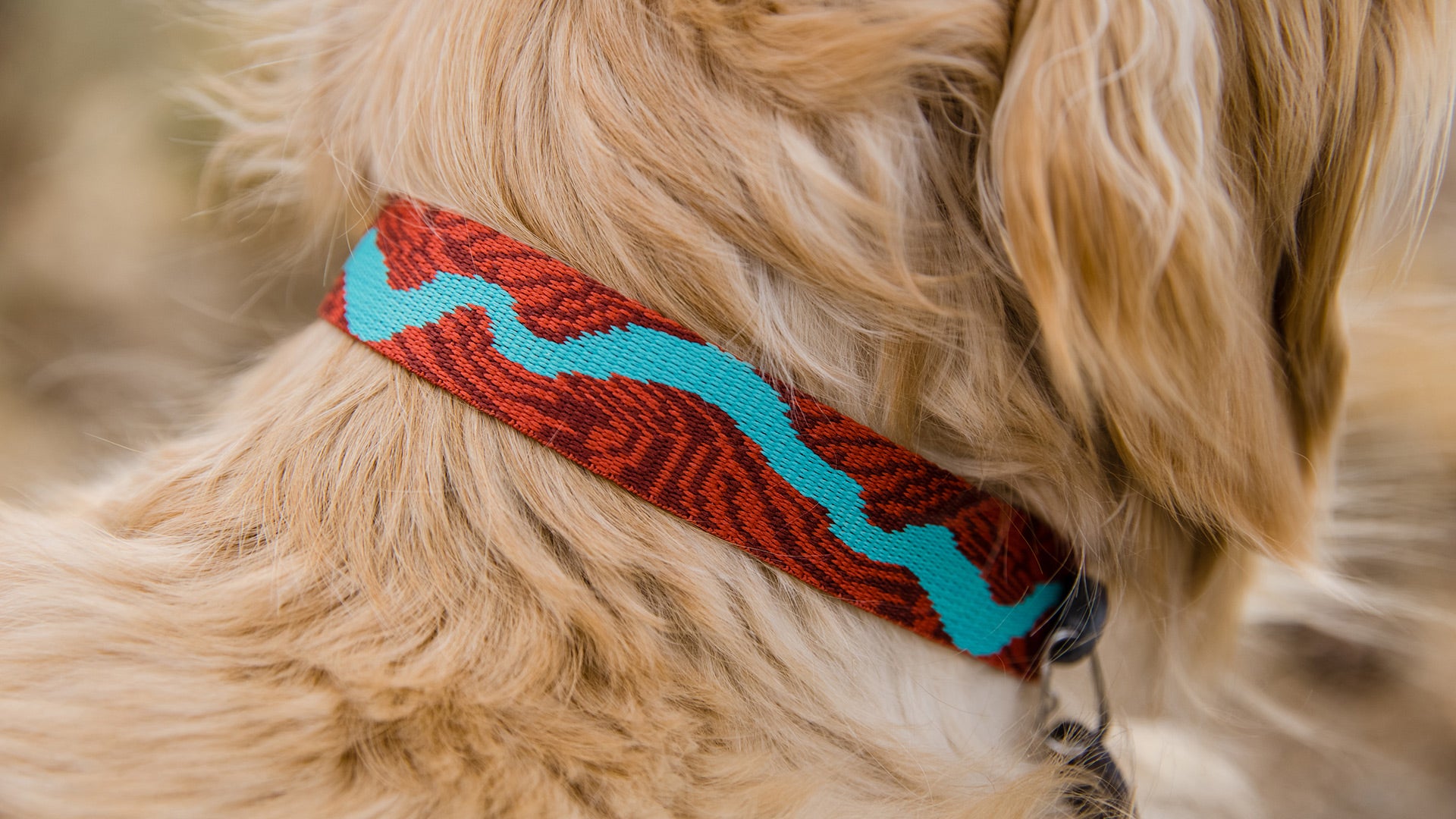 Flat Out Dog Collar Ruffwear