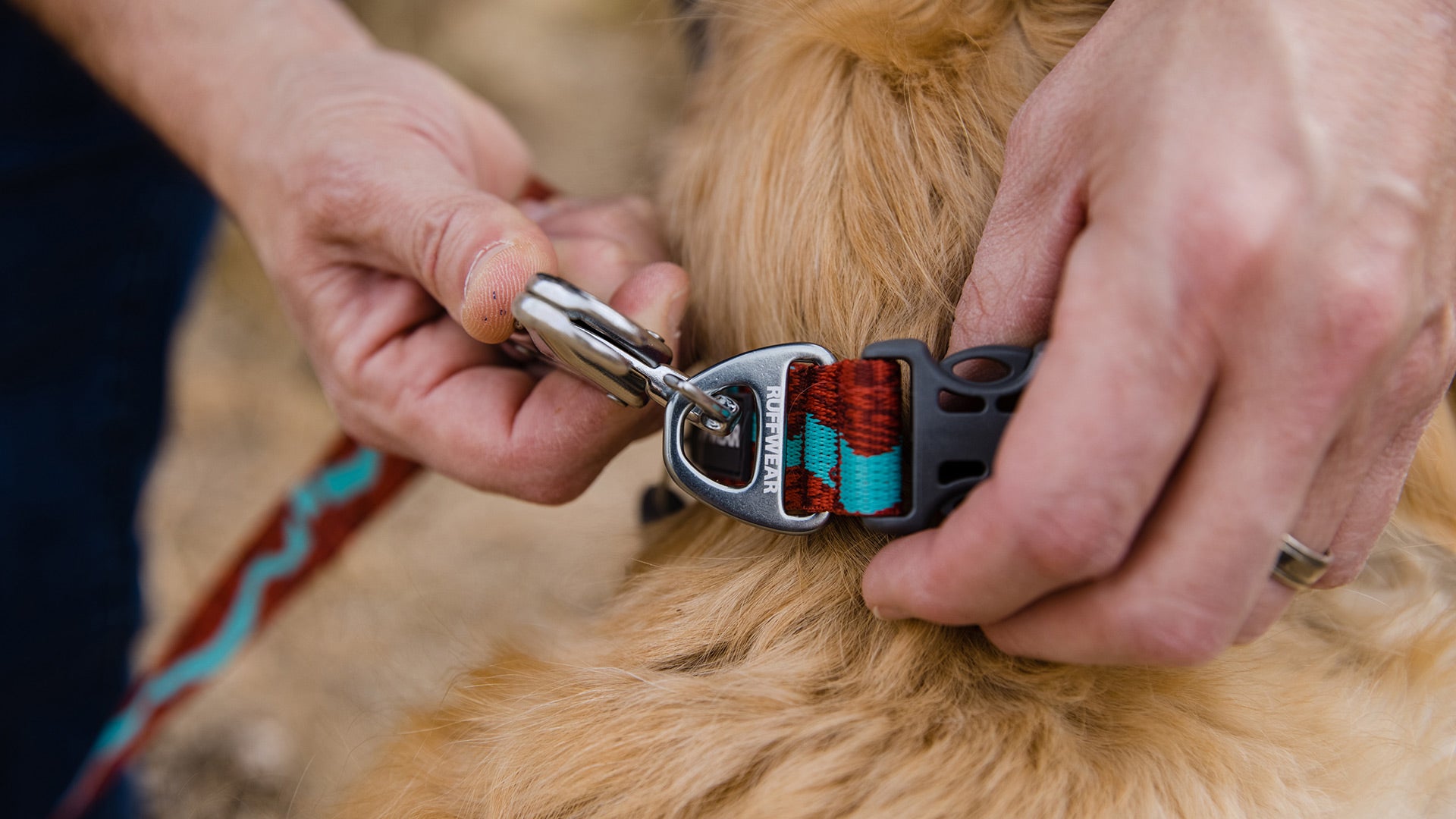 Flat Out Dog Collar Ruffwear