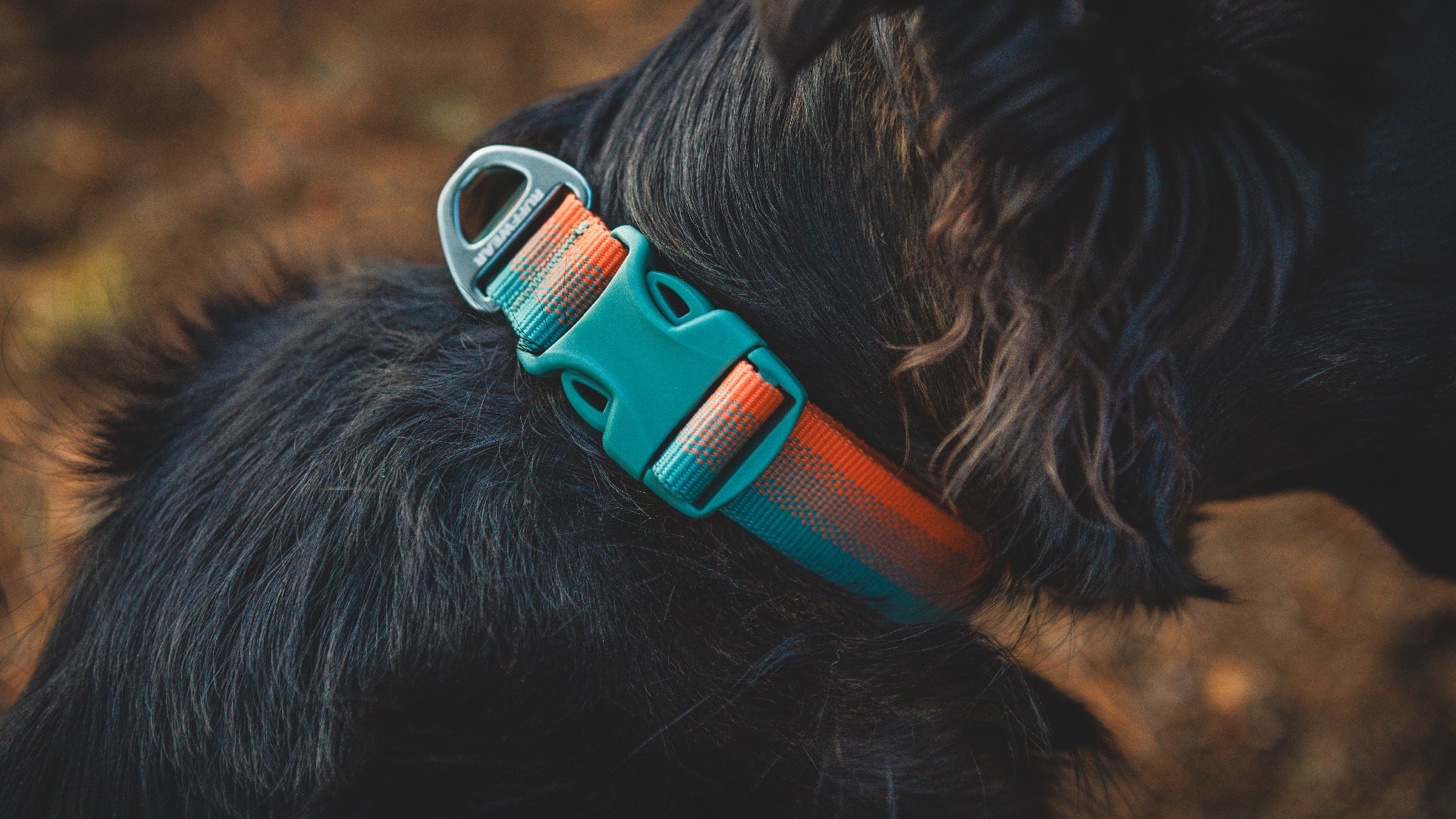 Front Range Dog Collar Ruffwear