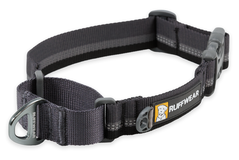 Martingale dog collar with buckle hot sale