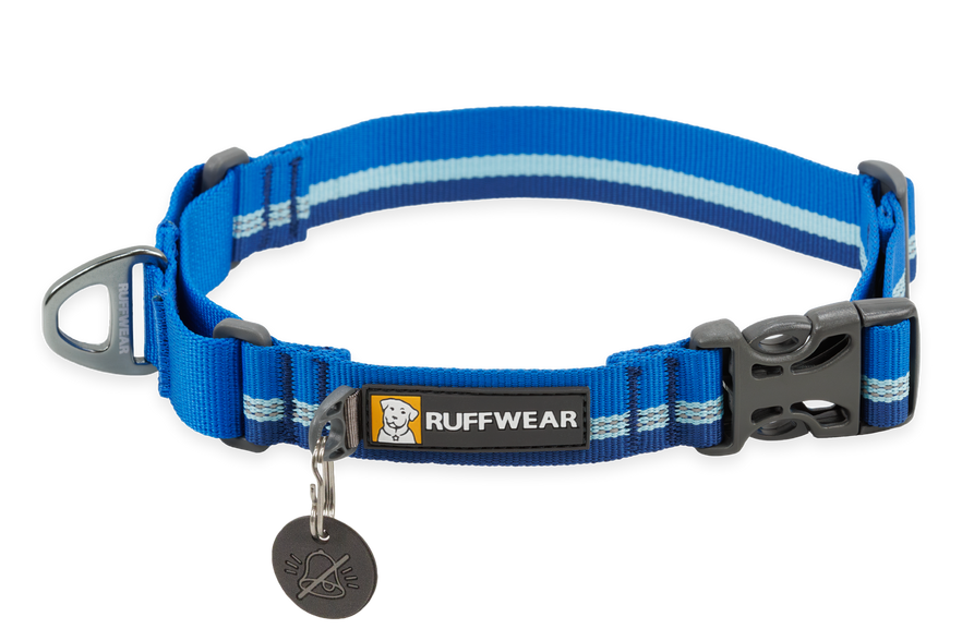 Web Reaction Martingale Dog Collar With Buckle Ruffwear