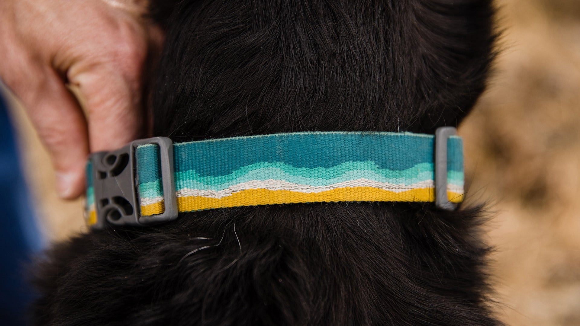 Crag Reflective Dog Collar Inspired By Nature Ruffwear