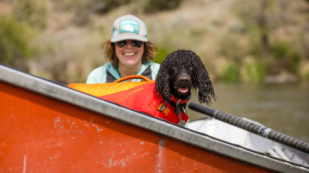 How to Use Confluence Collar Video Thumbnail