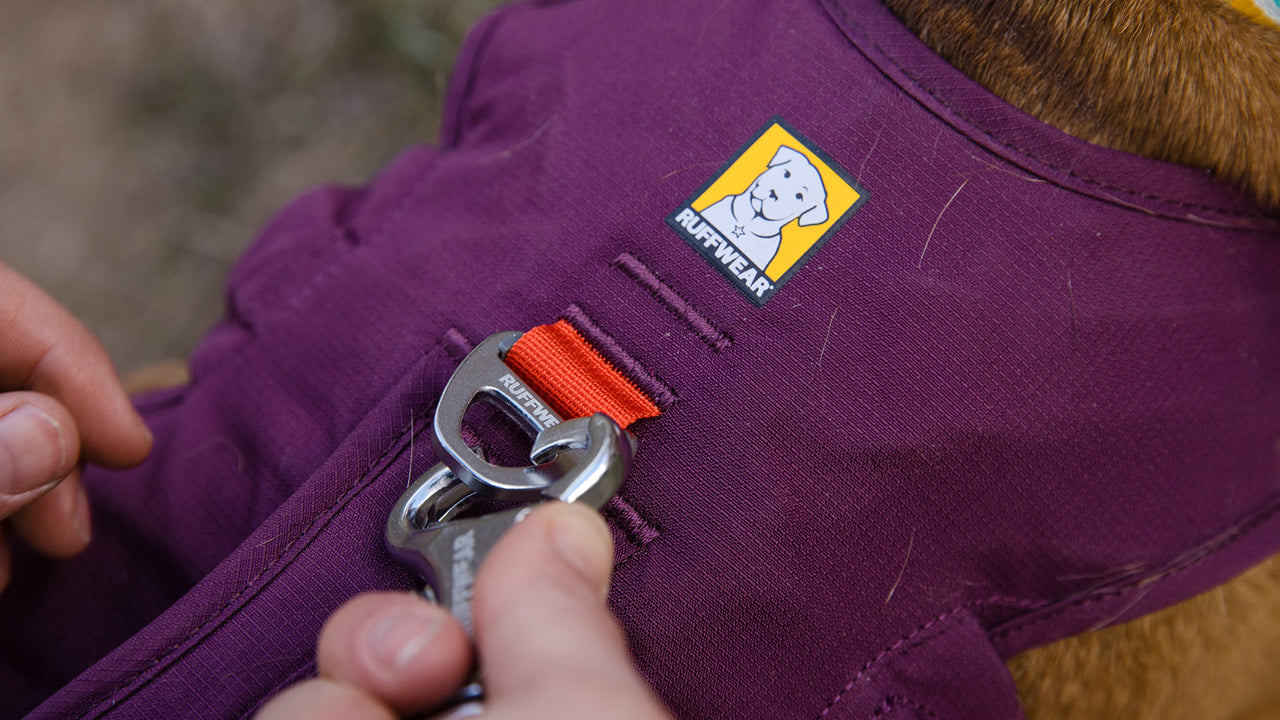 Two Connection Points