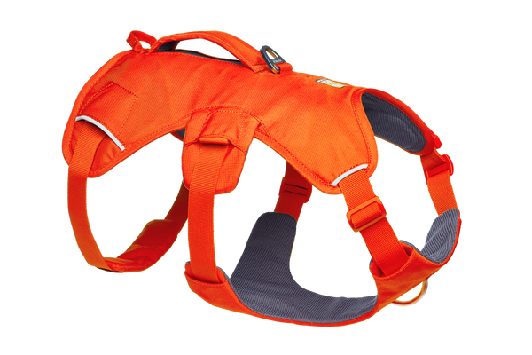 Blaze Orange (850)