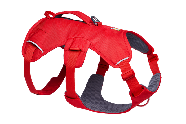 Used - Web Master™ Dog Harness with Handle