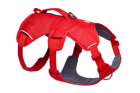 30104_Web-Master-Harness_Red-