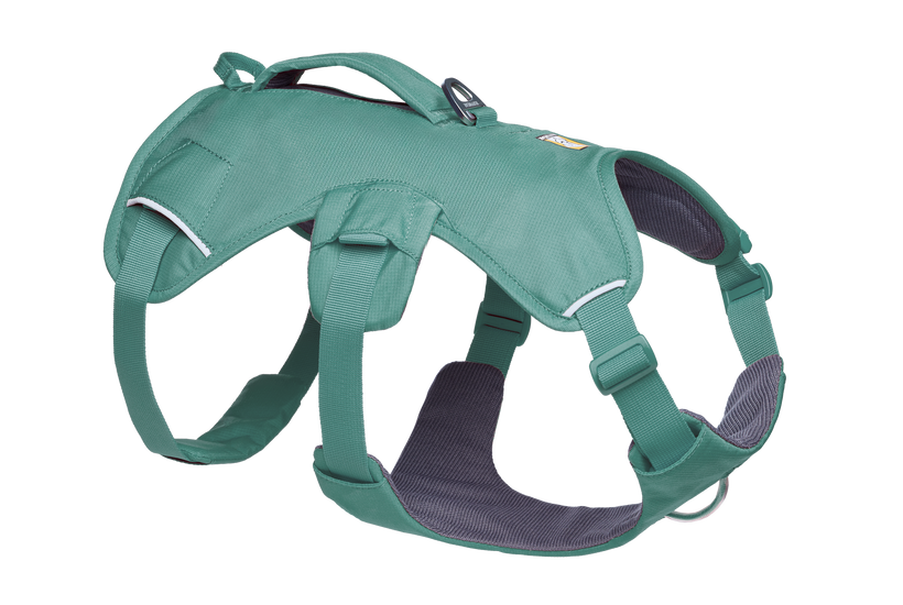 Web Master™ Dog Harness with Handle Ruffwear