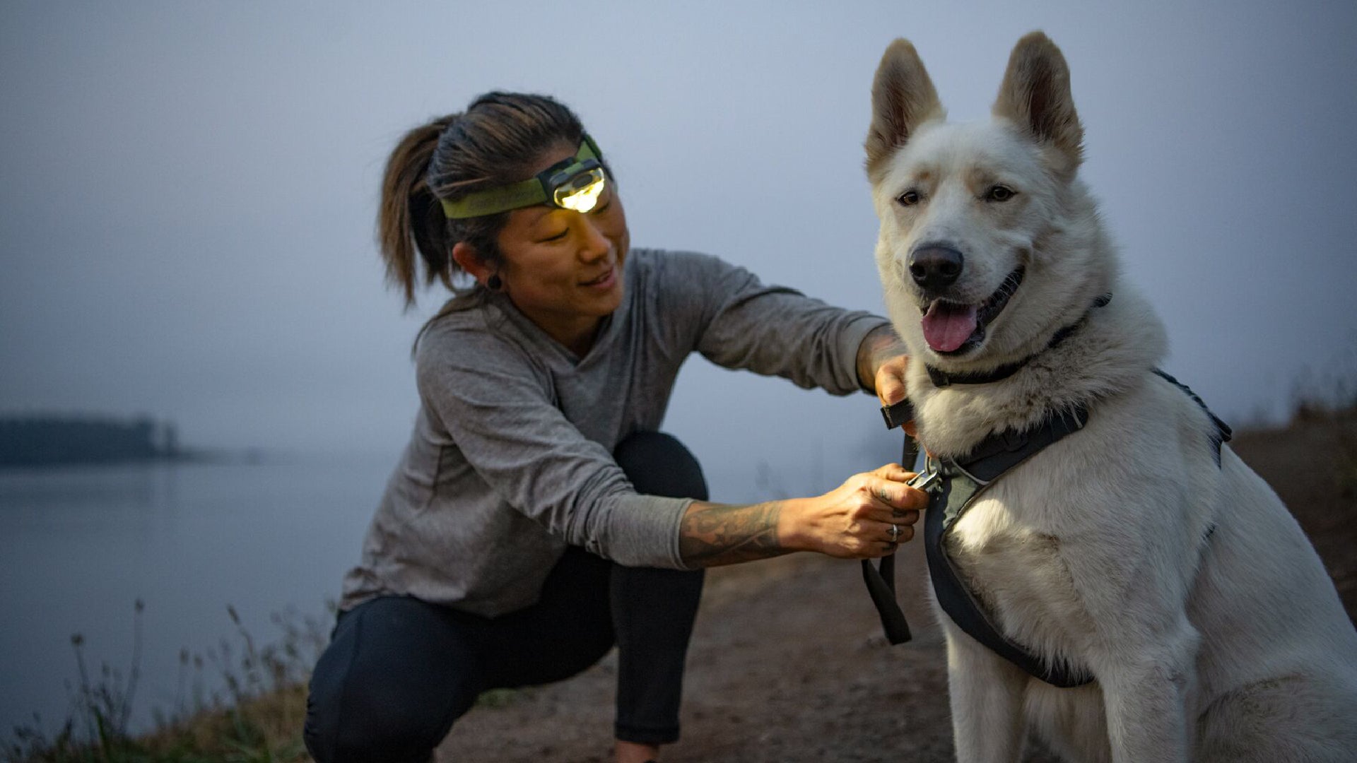 Front Range Dog Harness Ruffwear