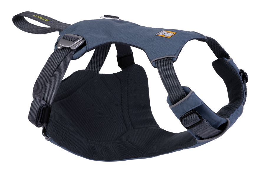 Dog seat belt loop hot sale