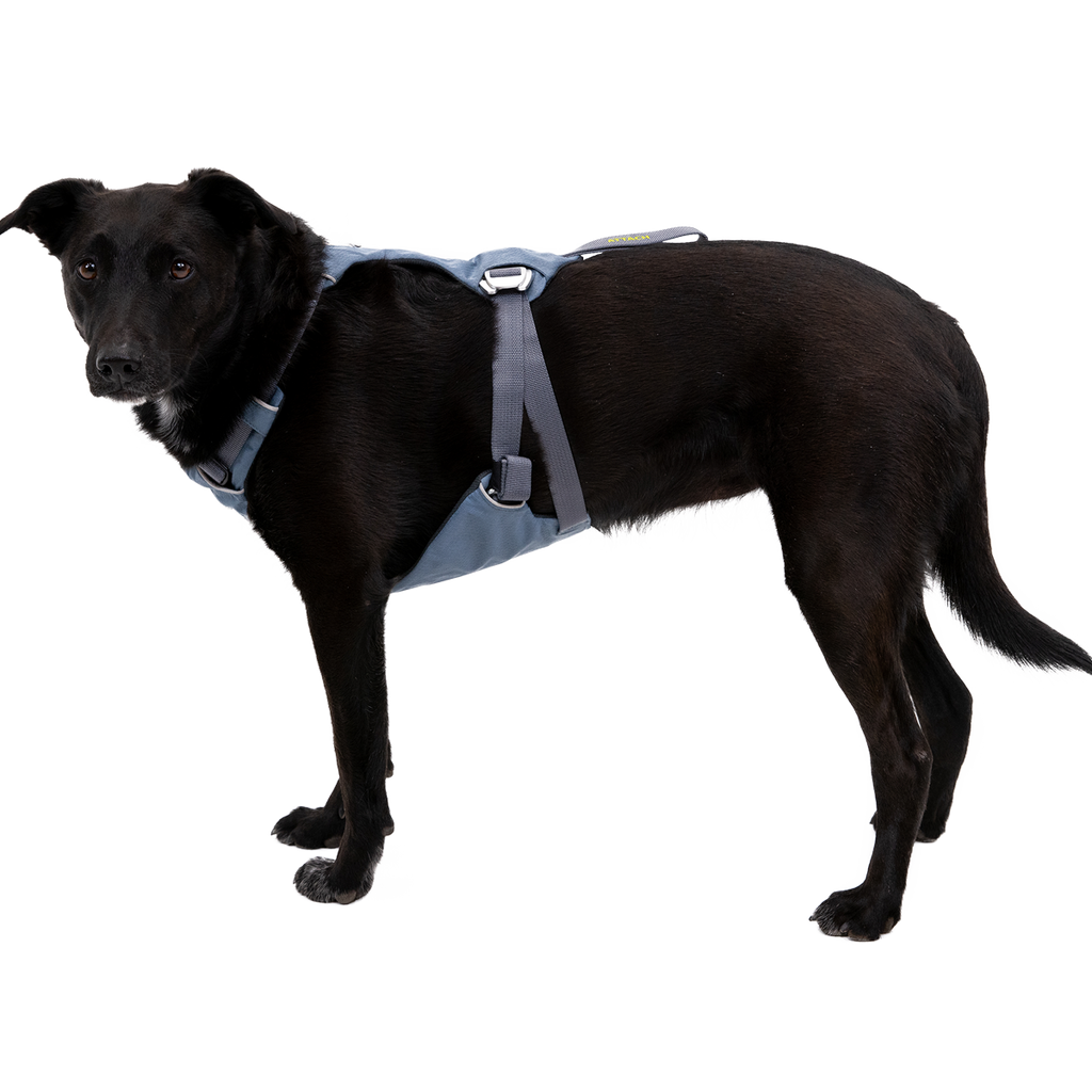 Load Up™ Dog Car Harness CrashTested, StrengthRated Ruffwear