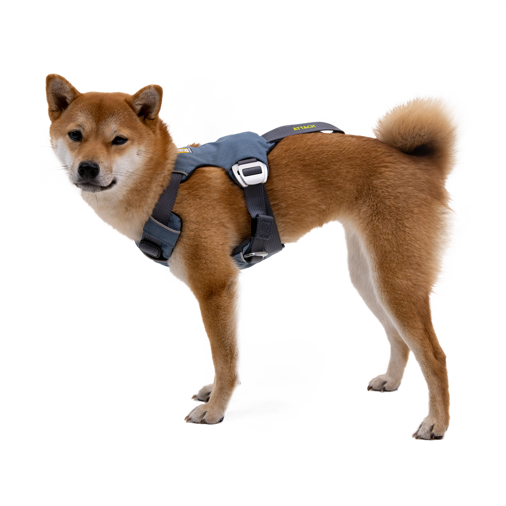 Load Up™ Crash Tested Dog Harness StrengthRated Hardware Ruffwear