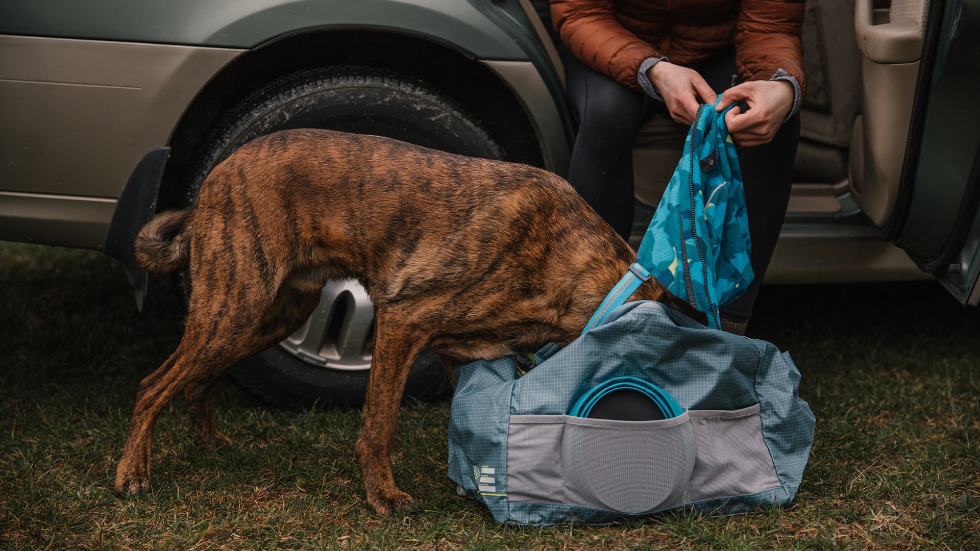 Dog accessory outlet bag