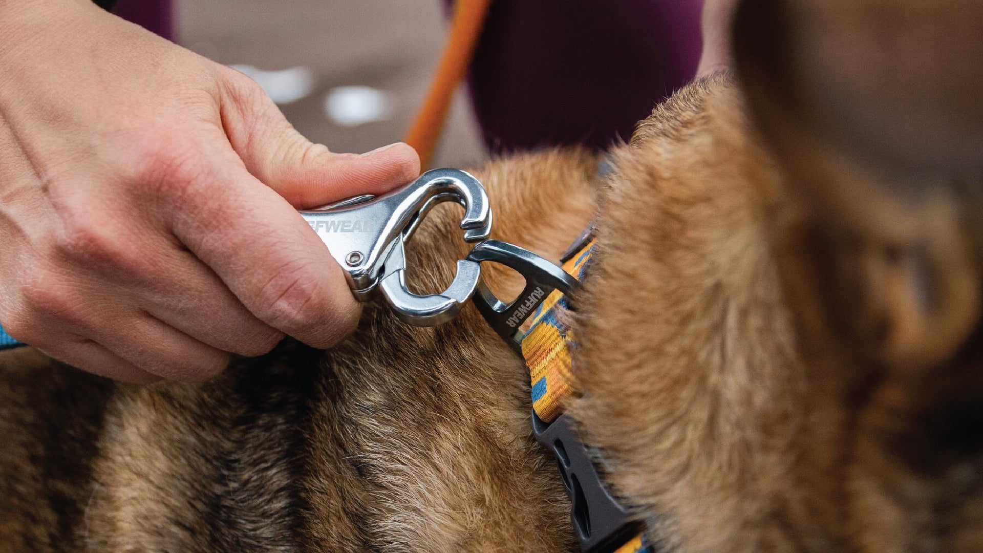 Roamer Bungee Dog Leash with Traffic Handle Ruffwear