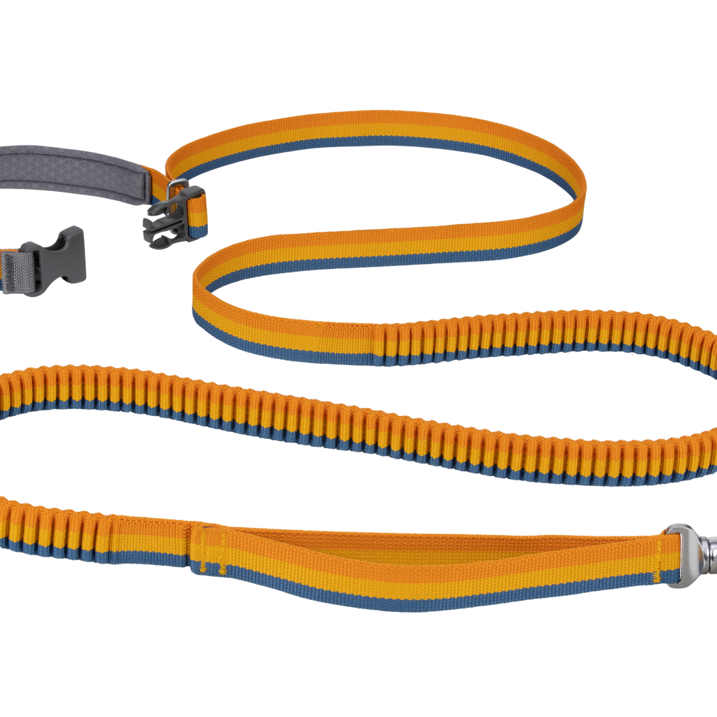 Roamer™ Bungee Dog Leash with Traffic Handle Ruffwear