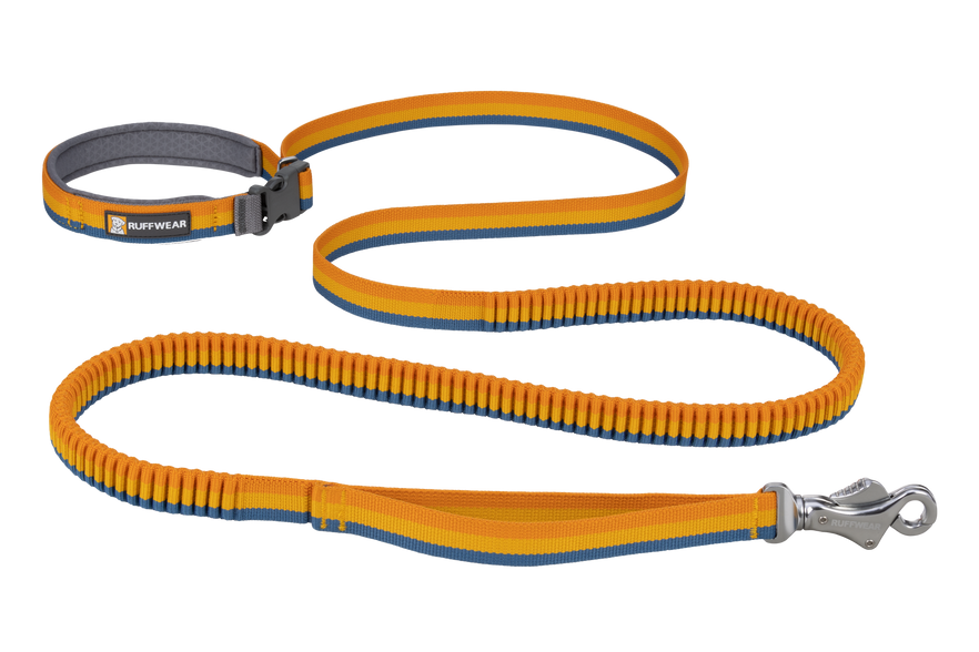 Dog lead deals bungee