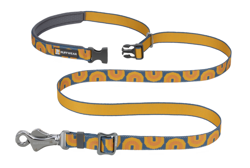 Adjustable dog leash online