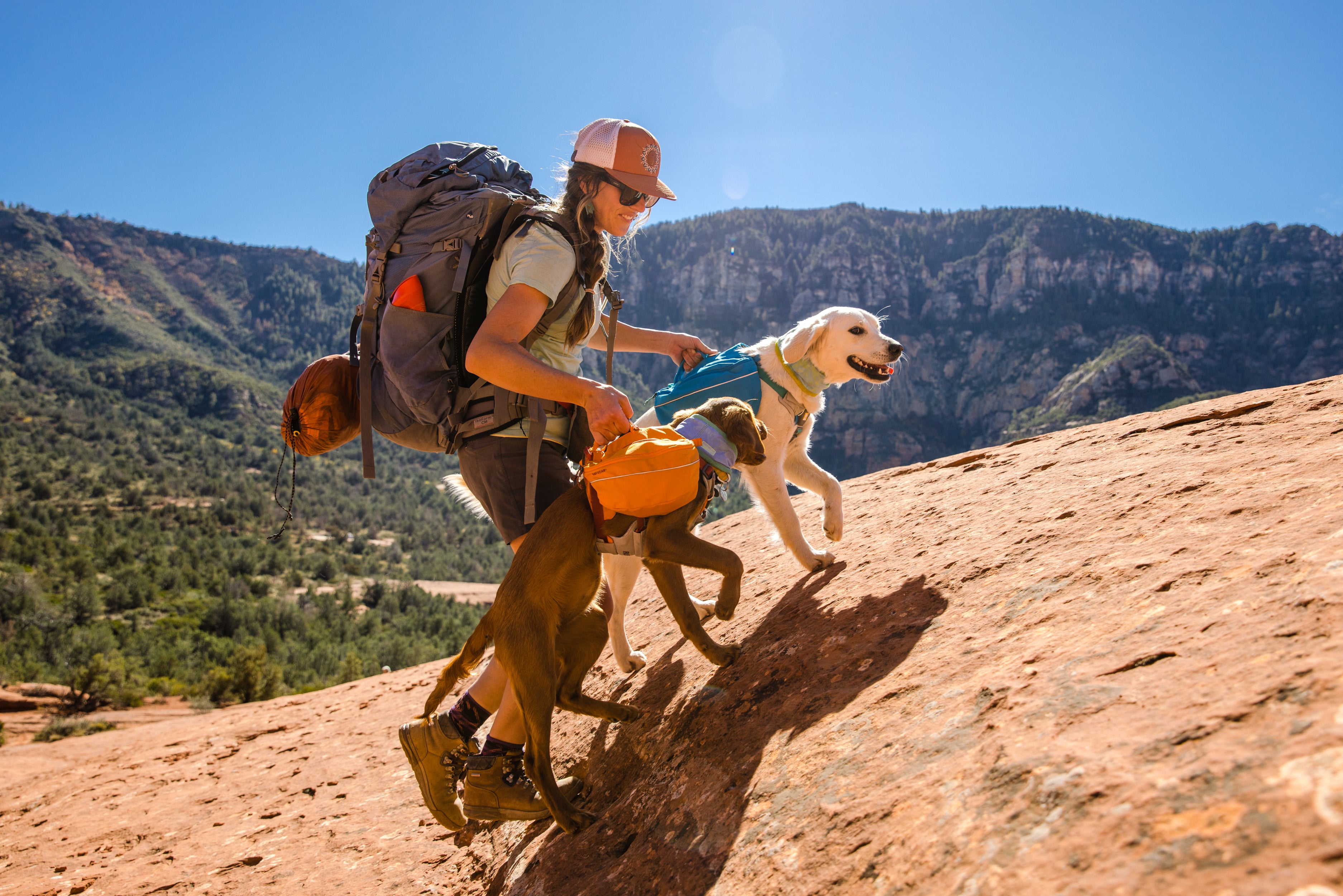 Dog deals hiking bag