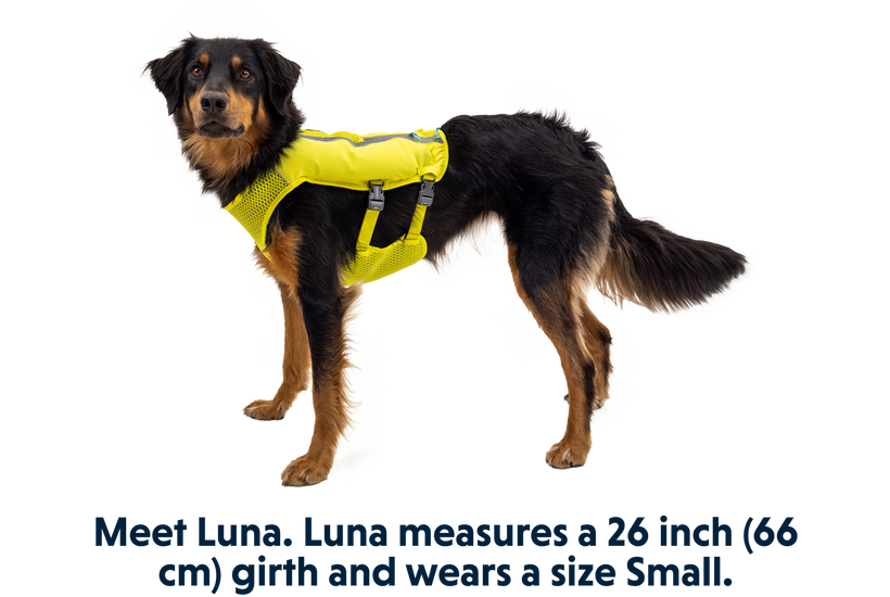 Trail Runner Dog Running Vest Ruffwear