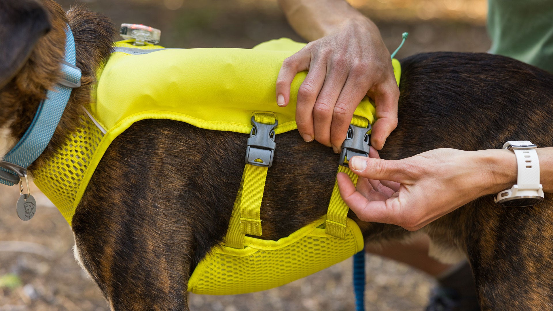 Trail Runner Dog Running Vest Ruffwear