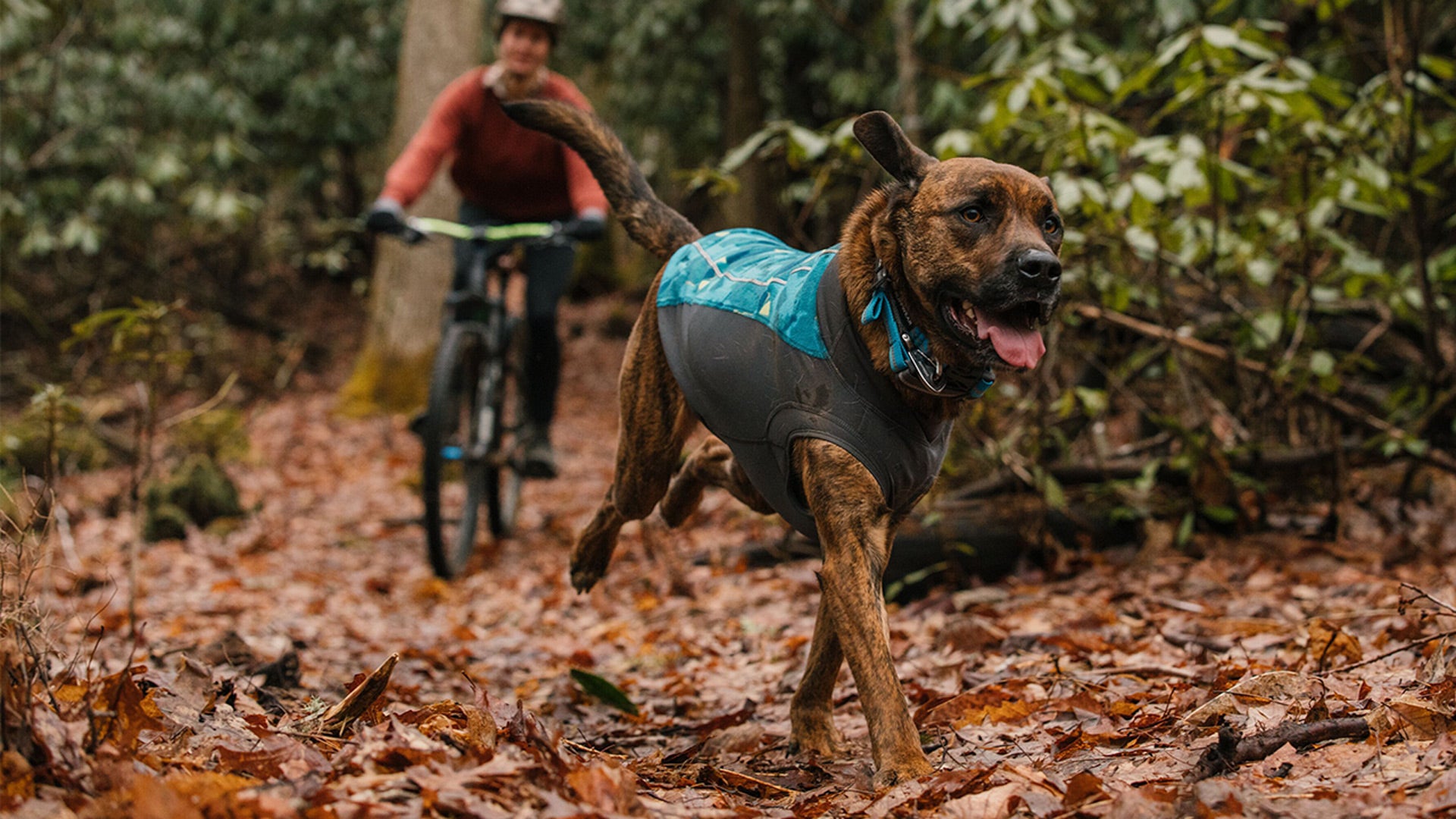 Ruffwear store dog fleece